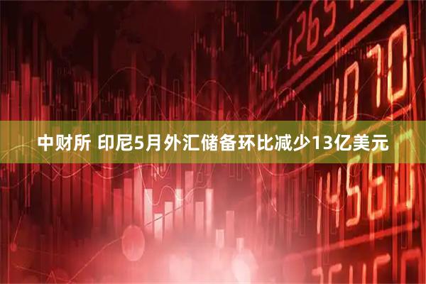 中财所 印尼5月外汇储备环比减少13亿美元